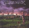 Youthanasia